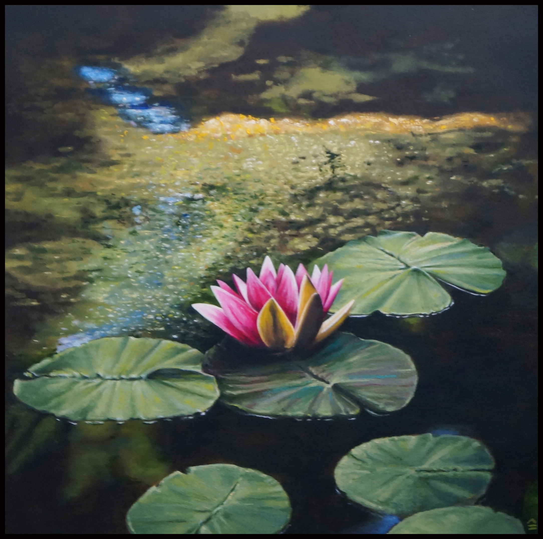 Lily Atop the Pond